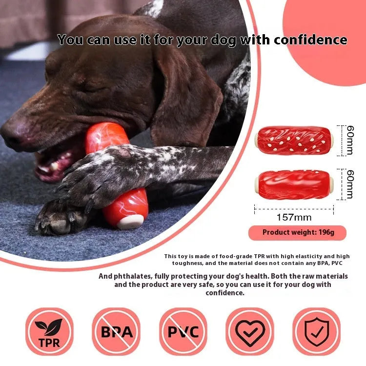 Primary colour plastic dog toy with a molar rod and glue toothbrush attachment for paste.