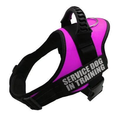 Reflective adjustable no-pull dog harness with chest strap and handle on a dog
