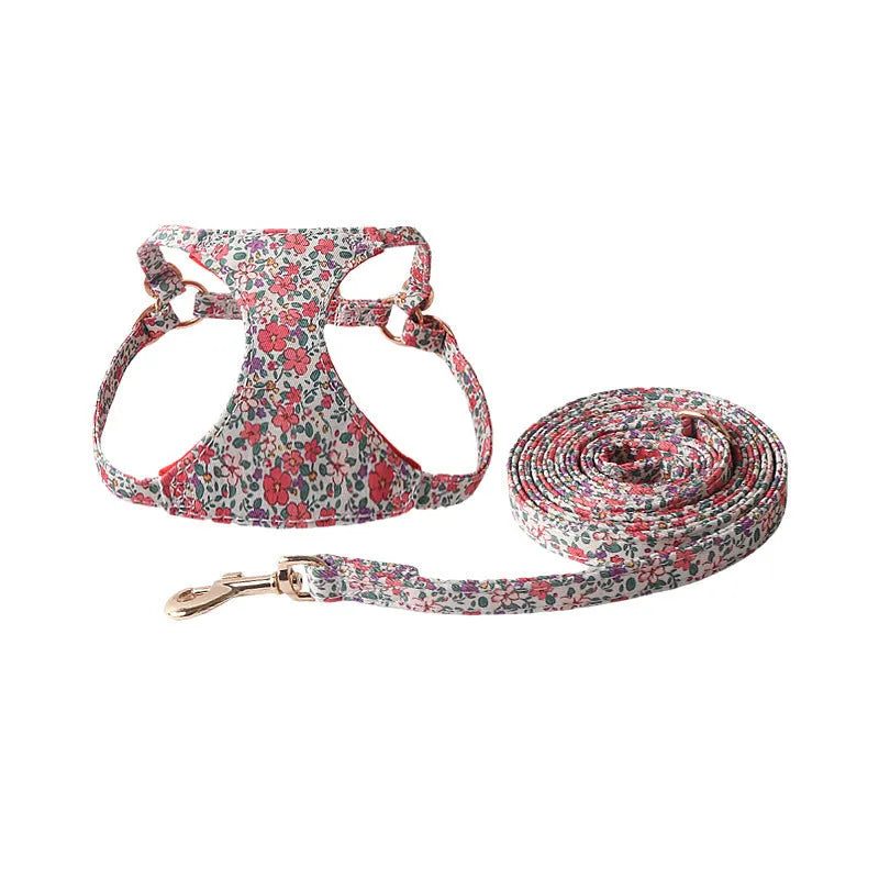 Cloth dog harness and leash set shown in an orange colour, with size options for small to medium dogs.