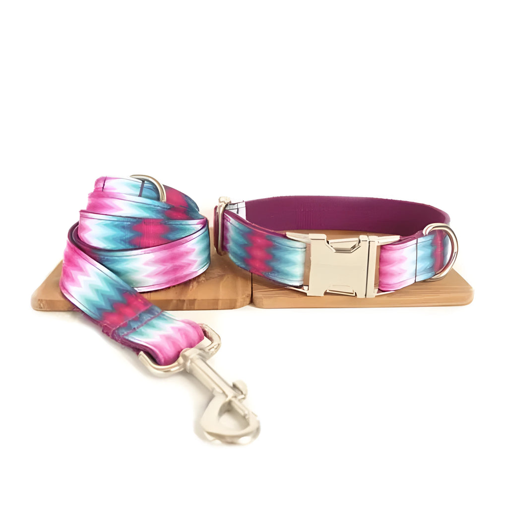 Pattern dog collar colour ribbon traction set in green polyester webbing on white background