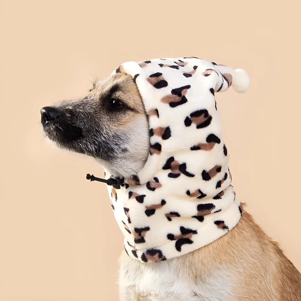 Pet wearing cloth headgear with animal ears in leopard print colour