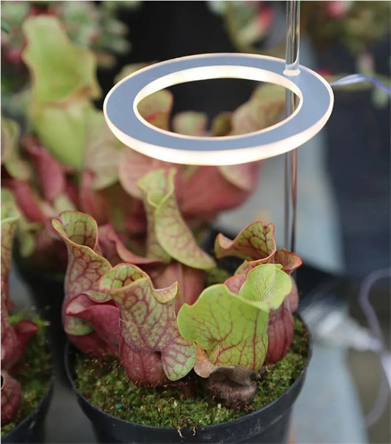 USB LED full spectrum plant grow light with acrylic stick on a table.