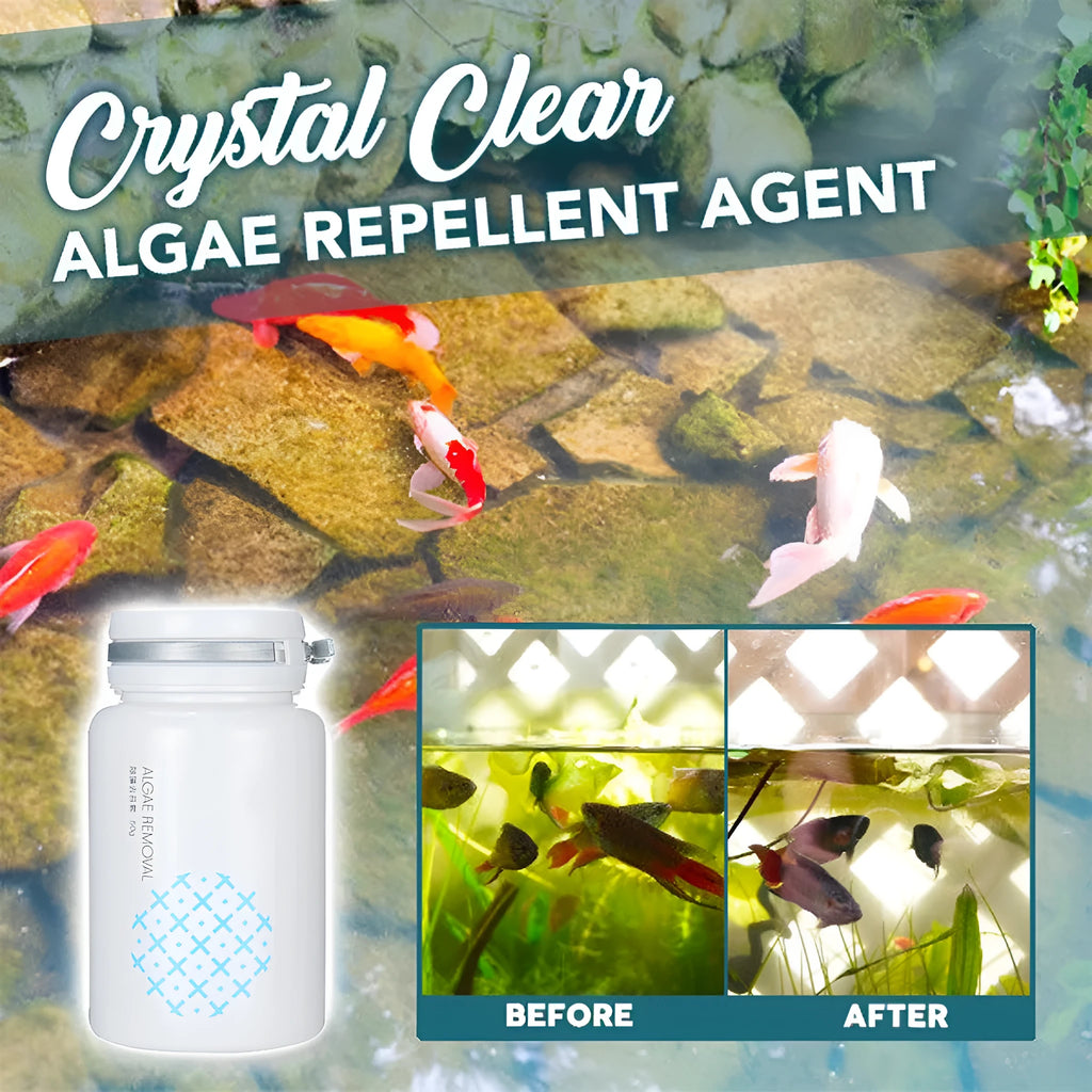 50g swimming pool algaecide container for algae and moss removal in aquatic environments