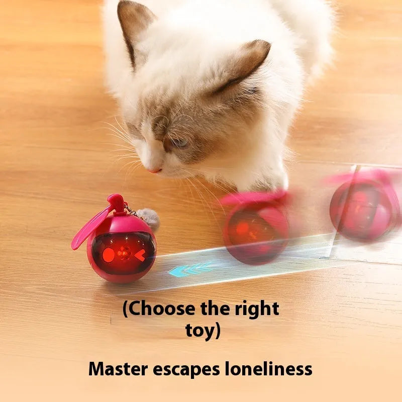 Green plastic elastic self-hi relief cat toy on floor