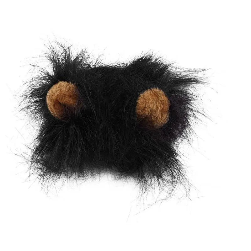 Small dog wearing a black lion mane hat with ears and scarf for a Halloween costume