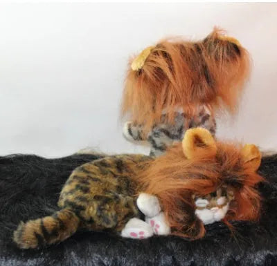 Small dog wearing a black lion mane hat with ears and scarf for a Halloween costume