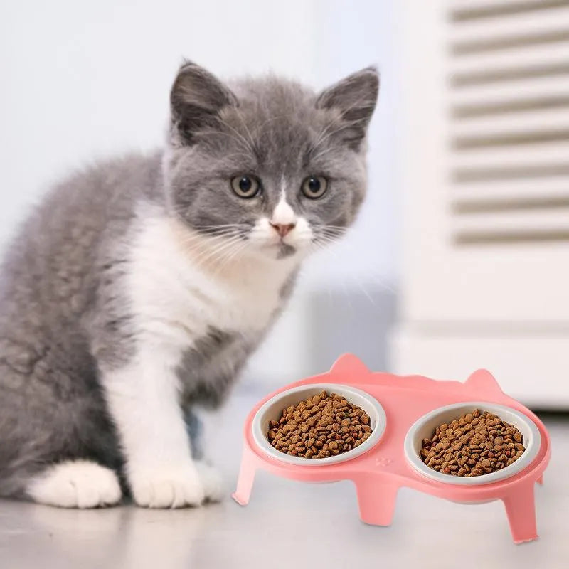 Ceramic cat food and water bowl set on a white tilted ABS stand, shown in blue colour