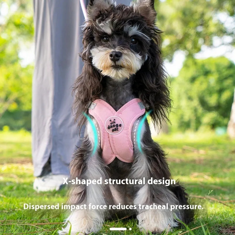A pink dog vest harness connected to a matching hand-holding lead on a white background.