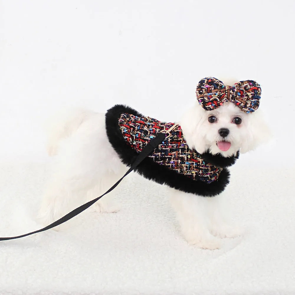 Classic style dog cloak attached to a cloth chest strap harness with an integrated hand holding rope leash.