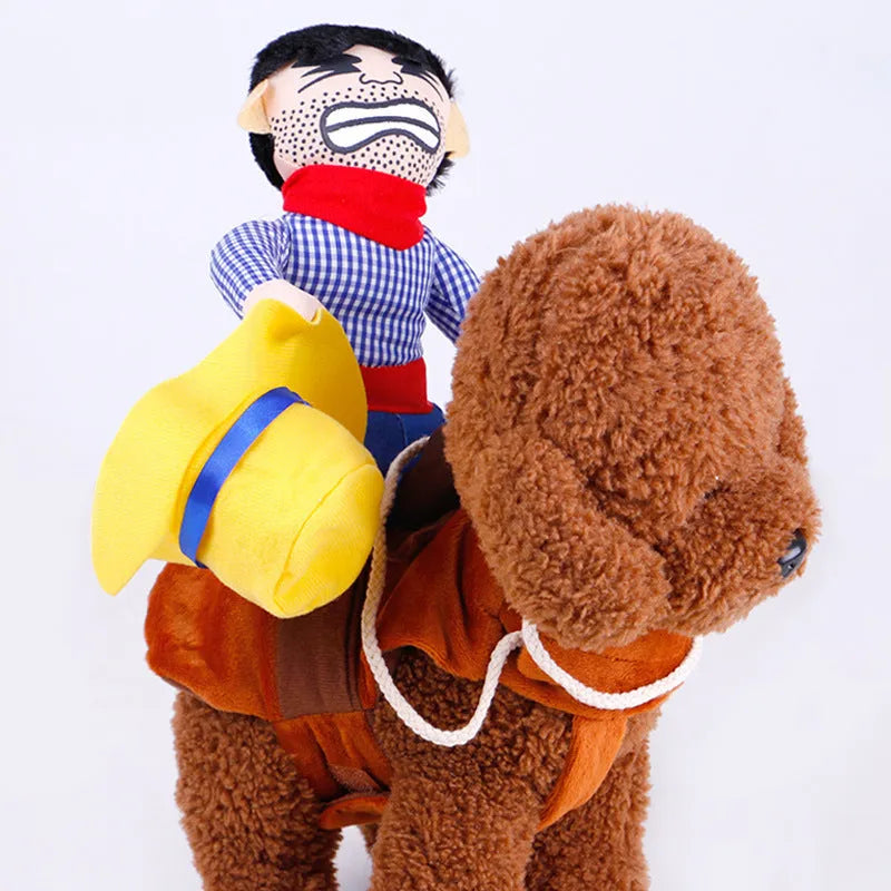 Pet dog wearing cartoon cowboy costume with hat, standing on grass