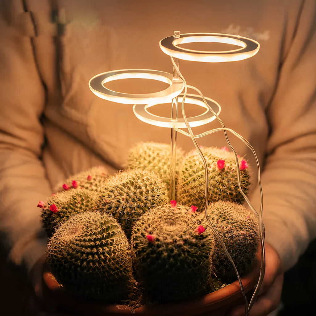 USB LED full spectrum plant grow light with acrylic stick on a table.