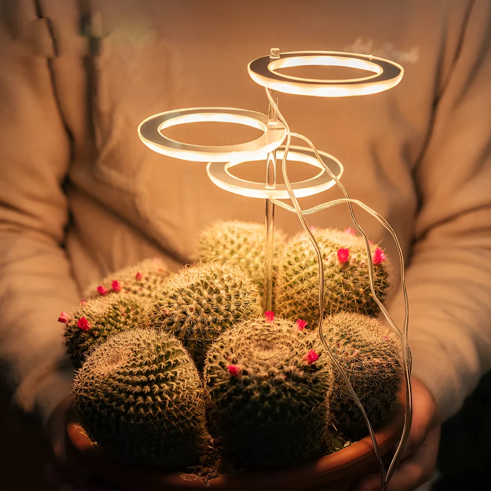 USB LED full spectrum plant grow light with acrylic stick on a table.
