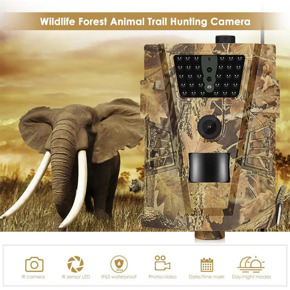 Compact wireless trail camera for outdoor surveillance with night vision capability