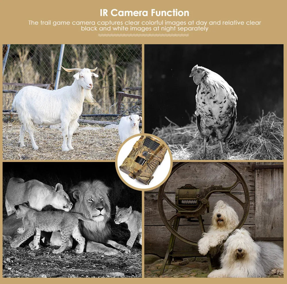 Compact wireless trail camera for outdoor surveillance with night vision capability
