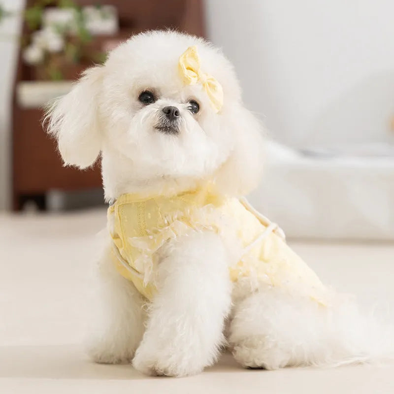 Small dog wearing quiet country shoulder bag carrier in blue, with bow and crossbody bag