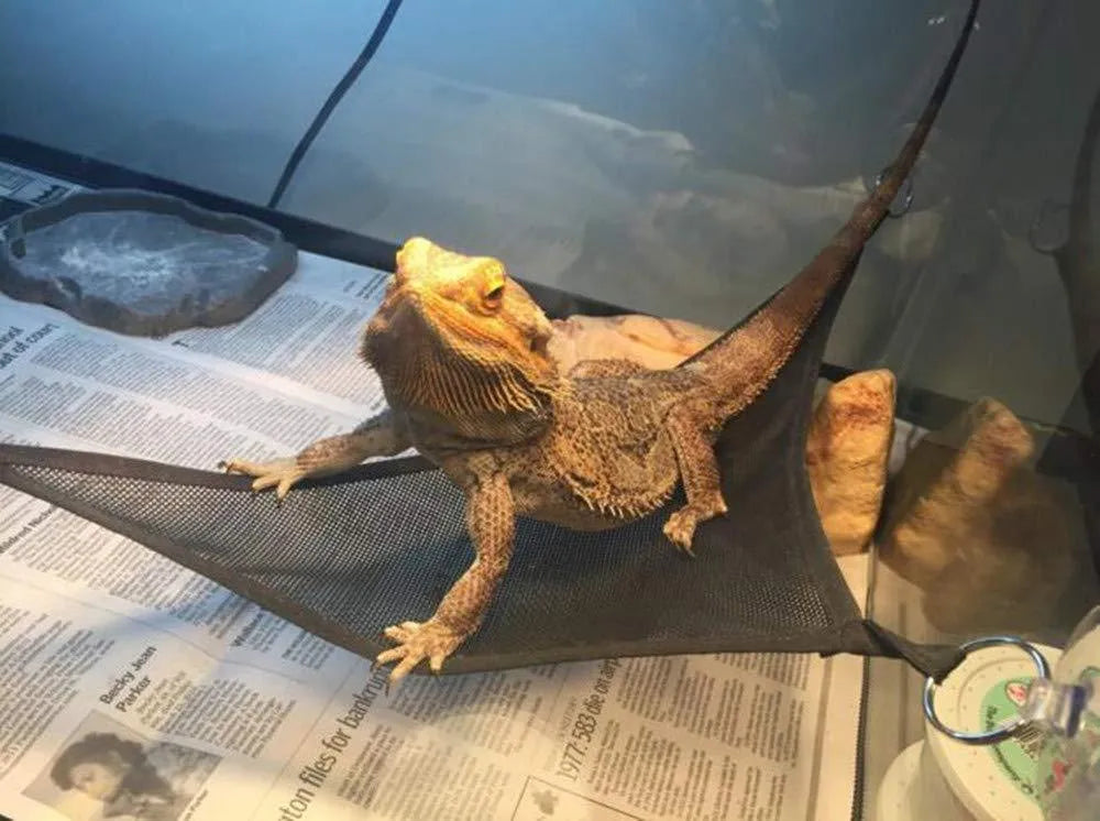 Two reptile hammocks with suction cups in black and green, small and large sizes on glass tank surface
