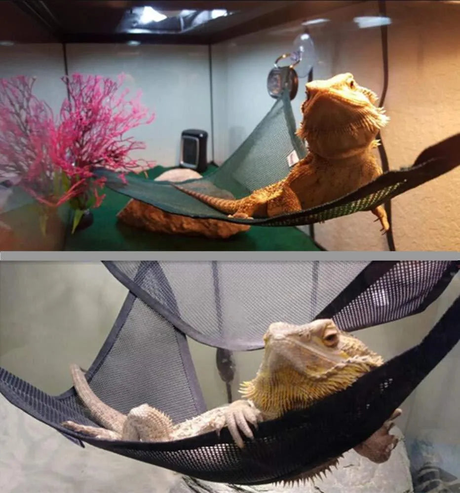 Two reptile hammocks with suction cups in black and green, small and large sizes on glass tank surface