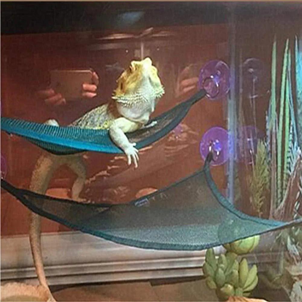 Two reptile hammocks with suction cups in black and green, small and large sizes on glass tank surface
