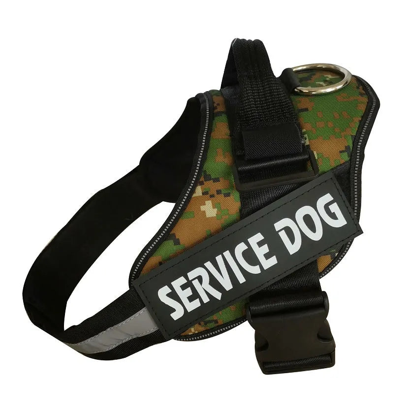 Reflective adjustable no-pull dog harness with chest strap and handle on a dog