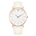 Ladies fashion quartz watch with frosted imitation leather strap, round alloy case, 38mm dial, white dial, pin buckle clasp, onion crown