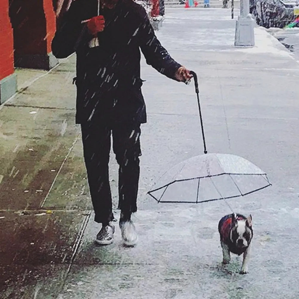 Transparent dog umbrella with traction chain removable on small dog for rainy walk