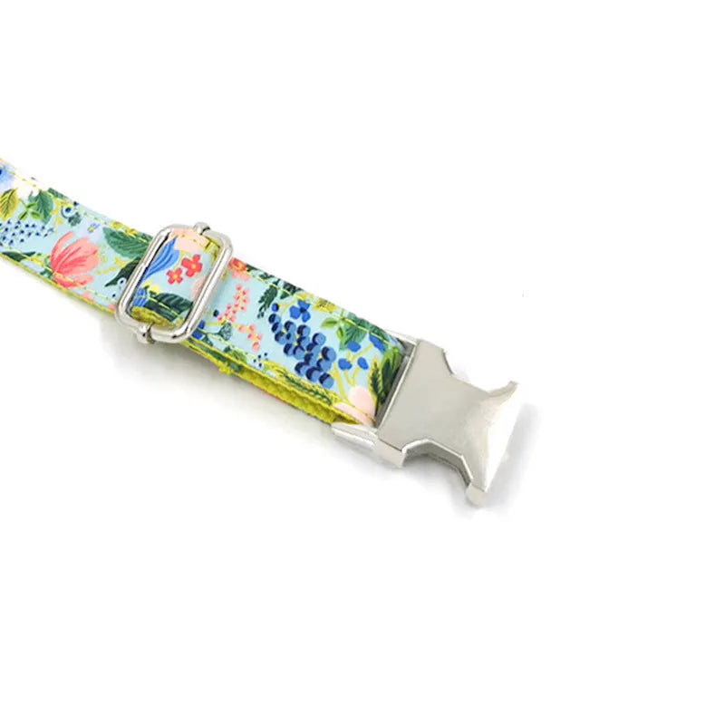 Yellow Midsummer Garden polyester dog leash and collar set on a white background, pack of 100, sizes XS to XL
