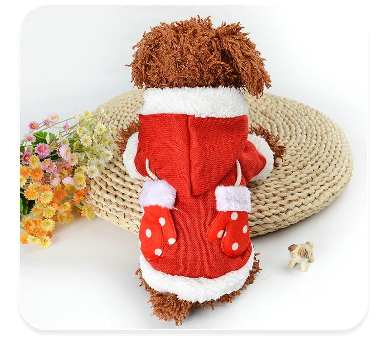 New dog Christmas sweater in red on a small dog, knit fabric with ribbed edges