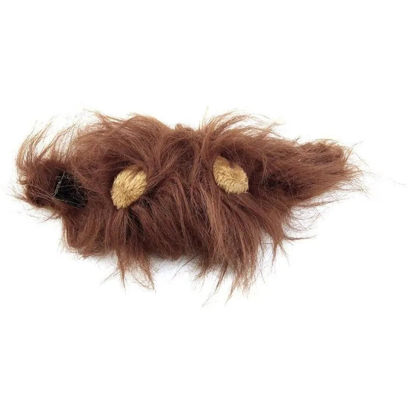 Small dog wearing a black lion mane hat with ears and scarf for a Halloween costume