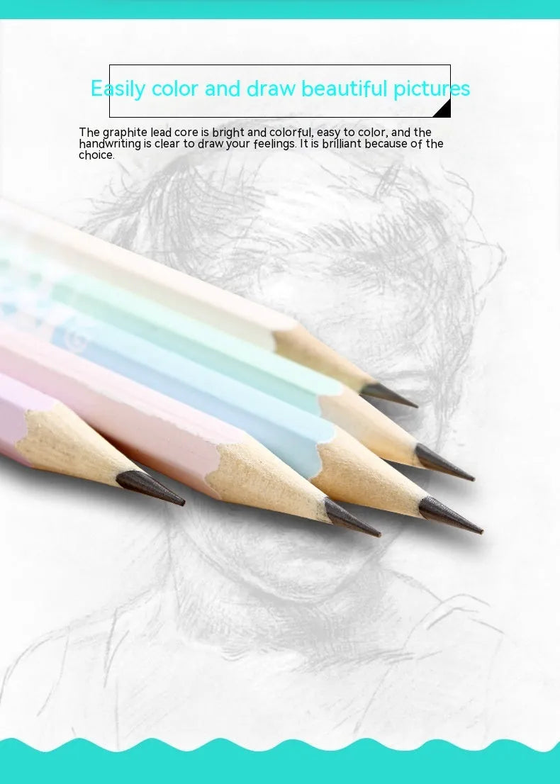 Barrel containing 50 HB basswood hexagonal pencils for school and office use