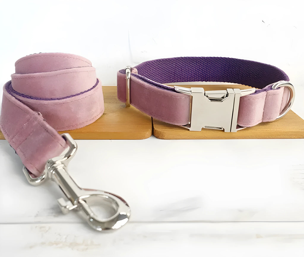 Adjustable nylon dog collar set in pink purple, five sizes from XS to XL for small to extra-large dogs