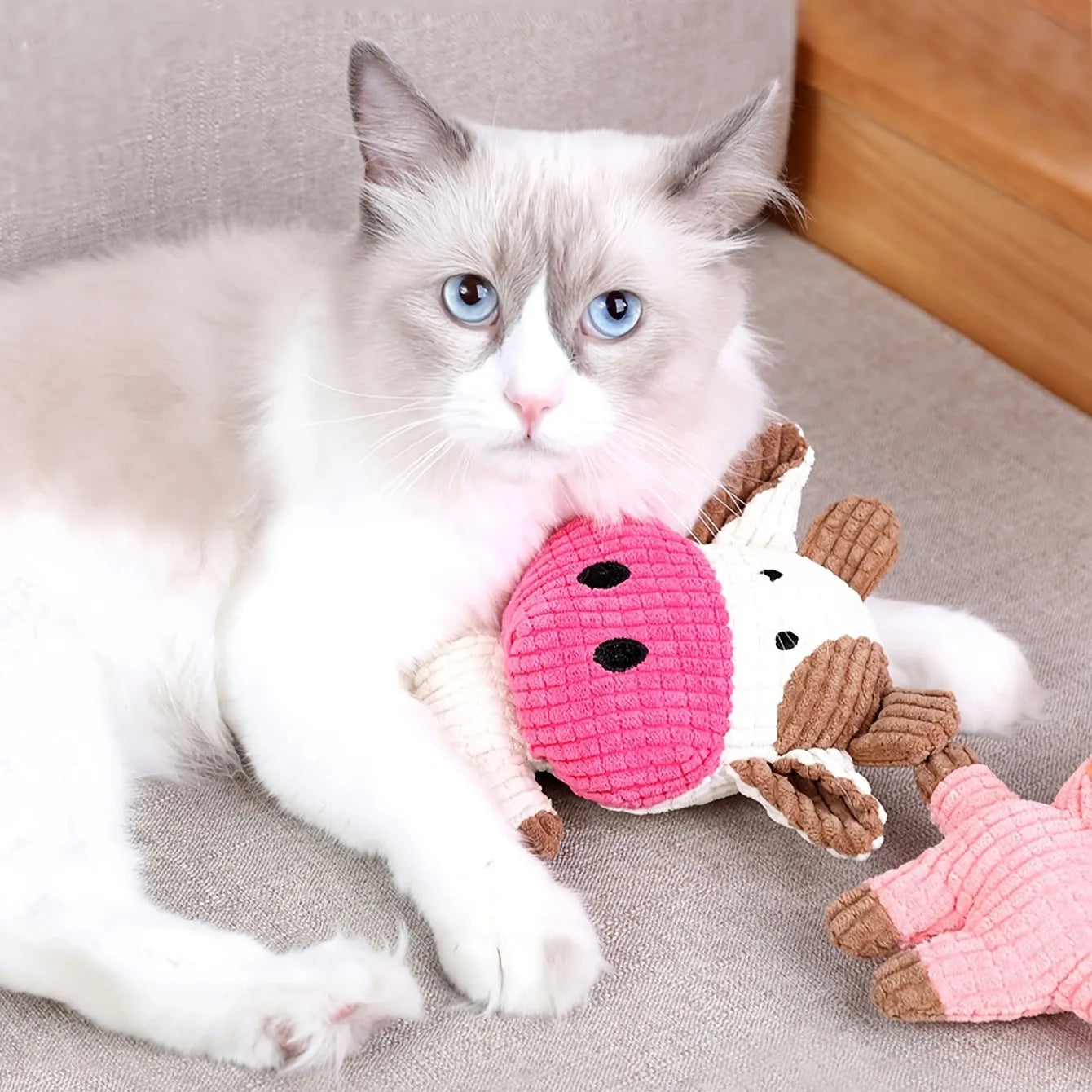 Cute animal shaped plush dog chew toy with squeaker in multiple colour options