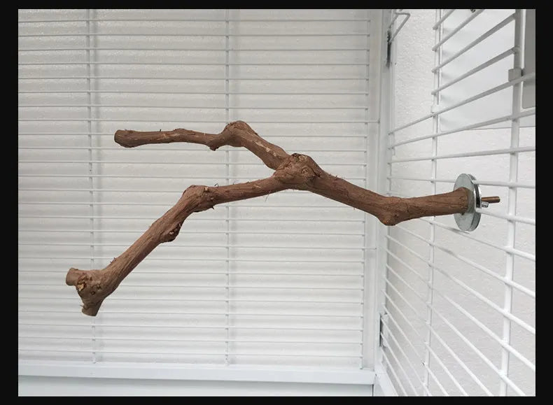 Natural grape wood bird stand pole for parrot cage, unique vine perch