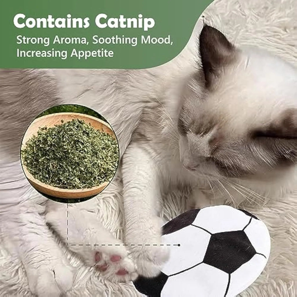 Soft plush cat flying disc toy with sports ball pattern, containing catnip and crinkle material.