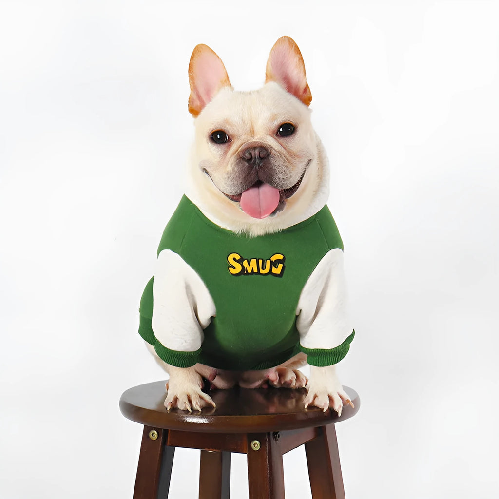 Green cotton dog coat for autumn and winter shown in a larger size.