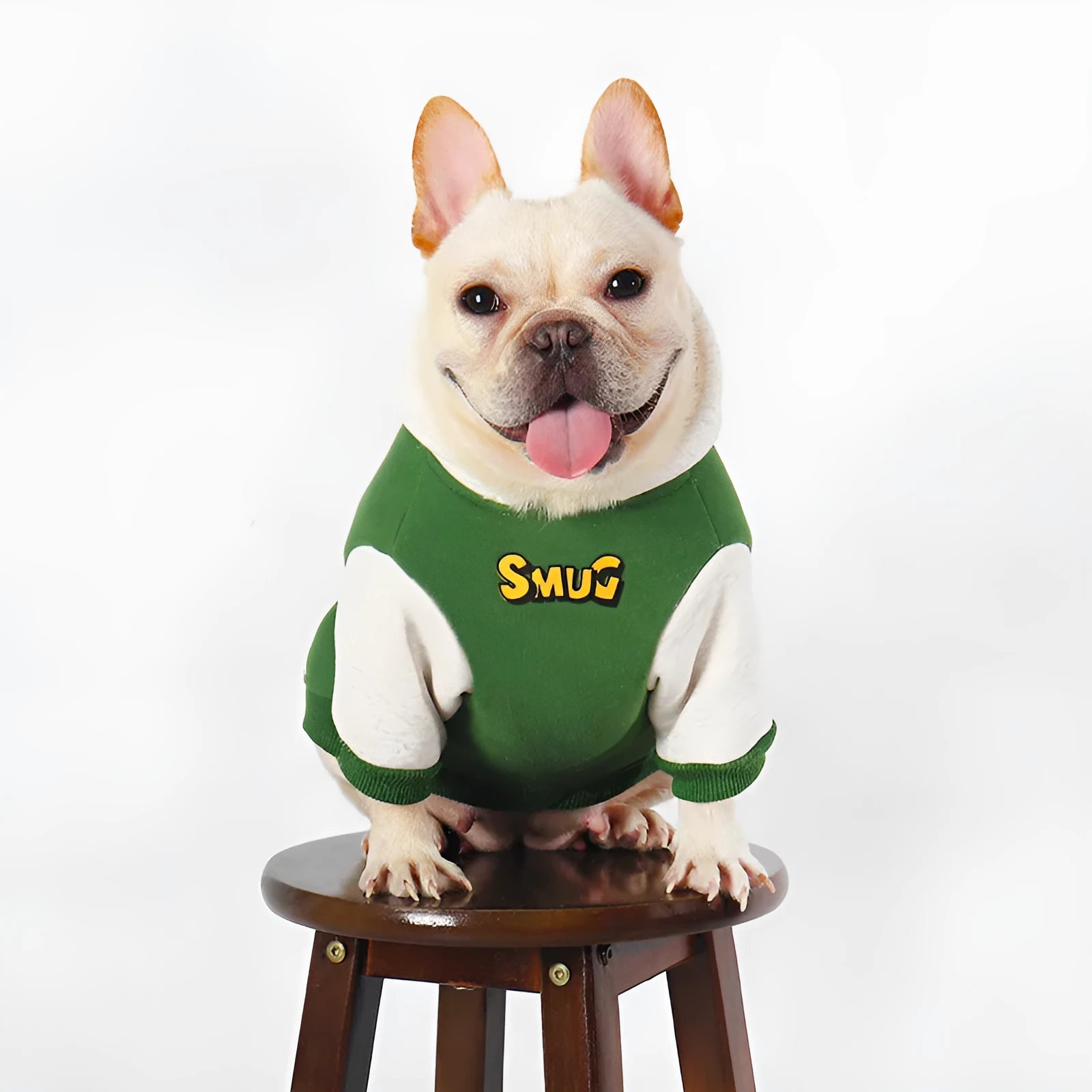 Green cotton dog coat for autumn and winter shown in a larger size.
