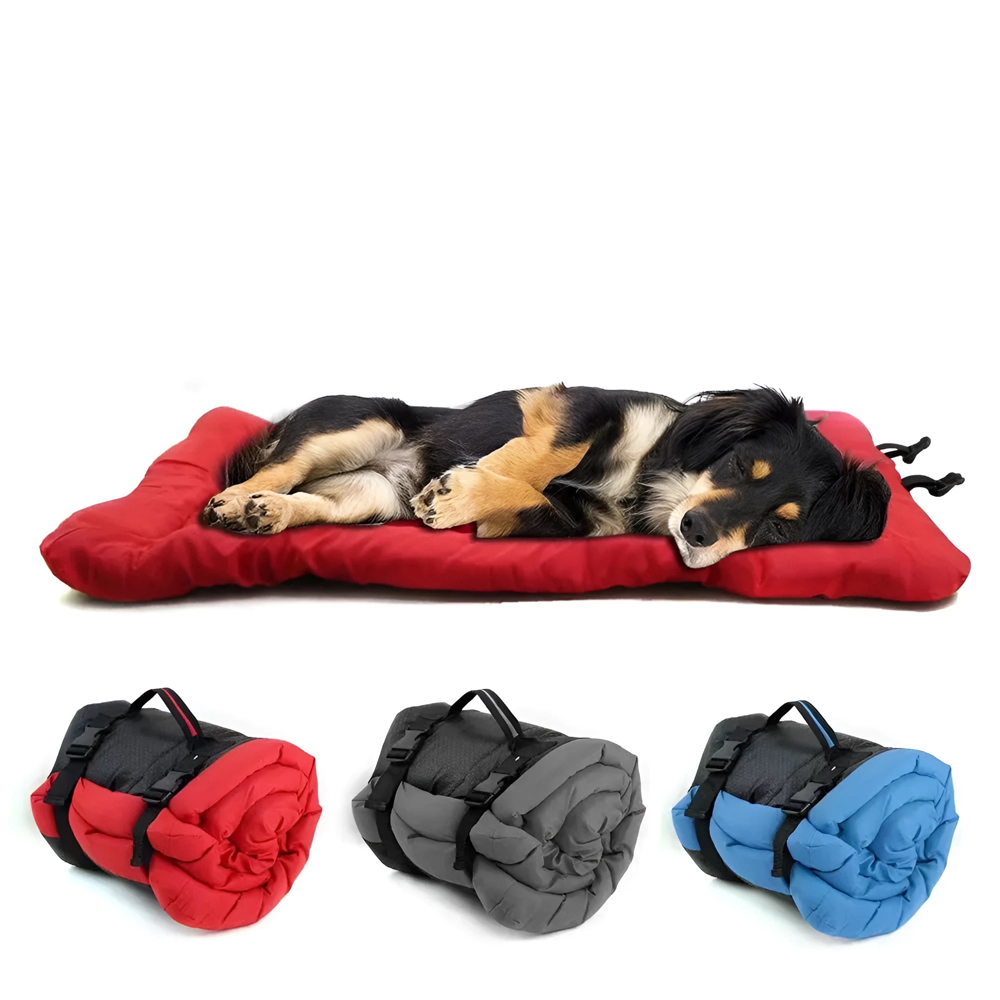 Blue foldable waterproof dog bed shown both unfolded and compactly folded with buckles.