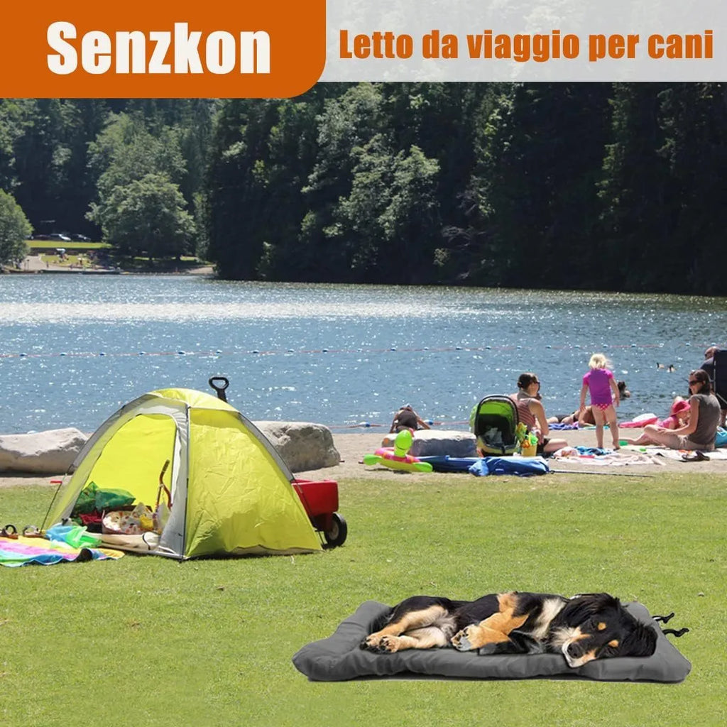 Blue foldable waterproof dog bed shown both unfolded and compactly folded with buckles.