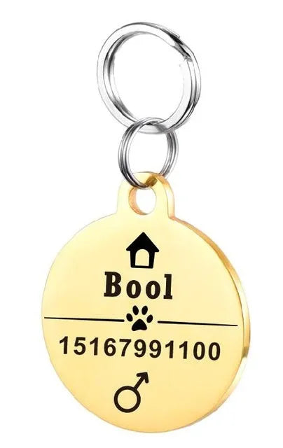Personalised stainless steel pet ID tag with natural zircon chain in silver, showing style option A.