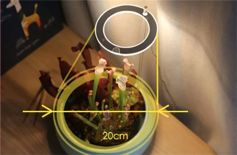USB LED full spectrum plant grow light with acrylic stick on a table.