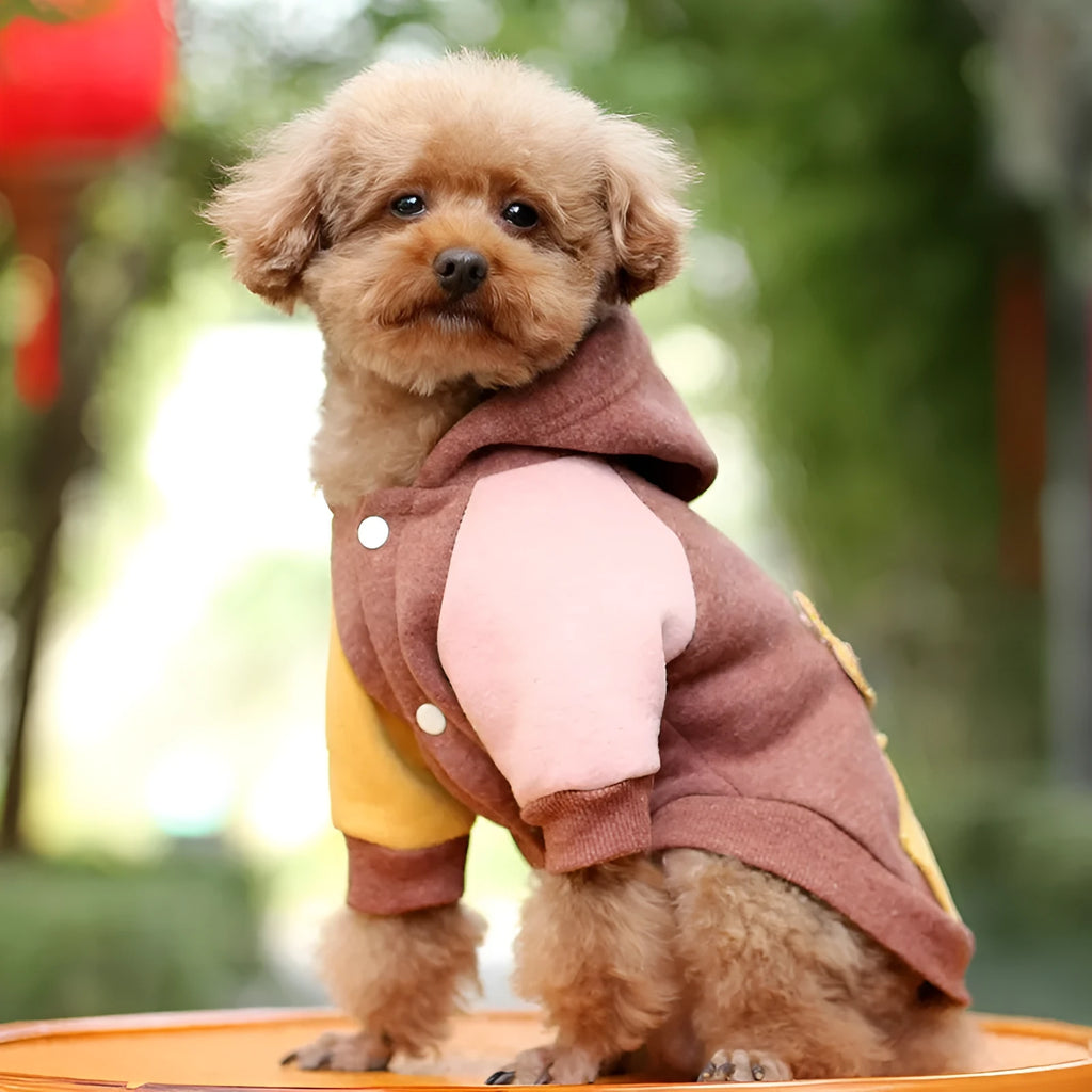 Cotton dog sweatshirt in brown, green, or pink colours for casual pet wear.