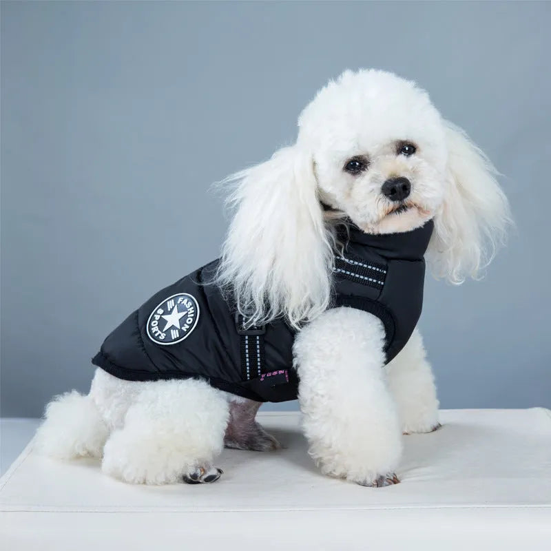 Waterproof dog coat with integrated harness in red, shown on a dog