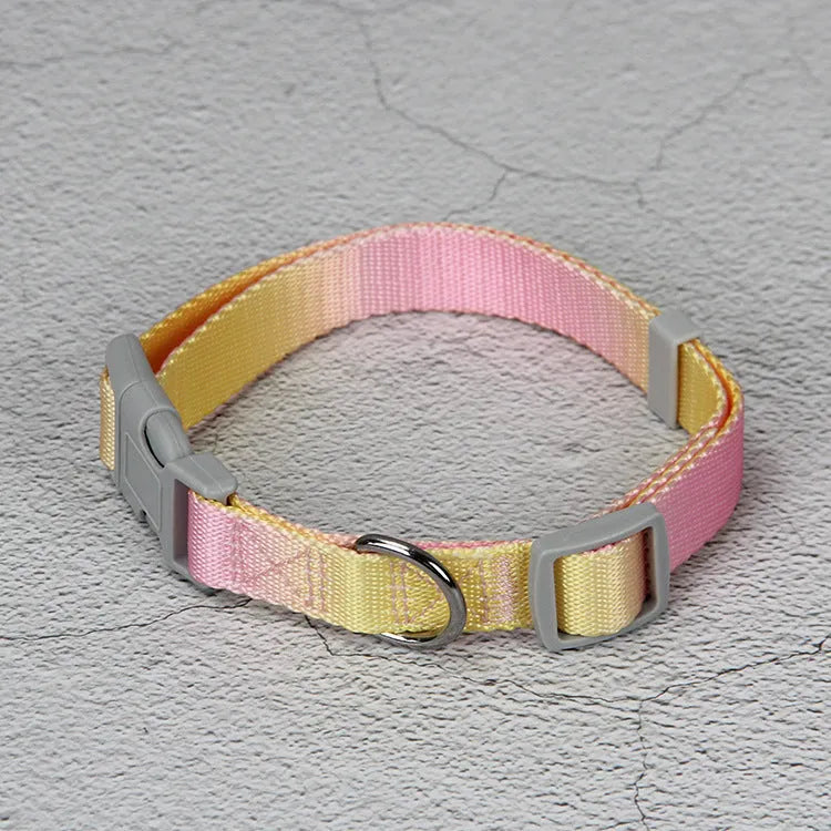 Gradient colour nylon dog leash and harness set shown in pink and blue combination.