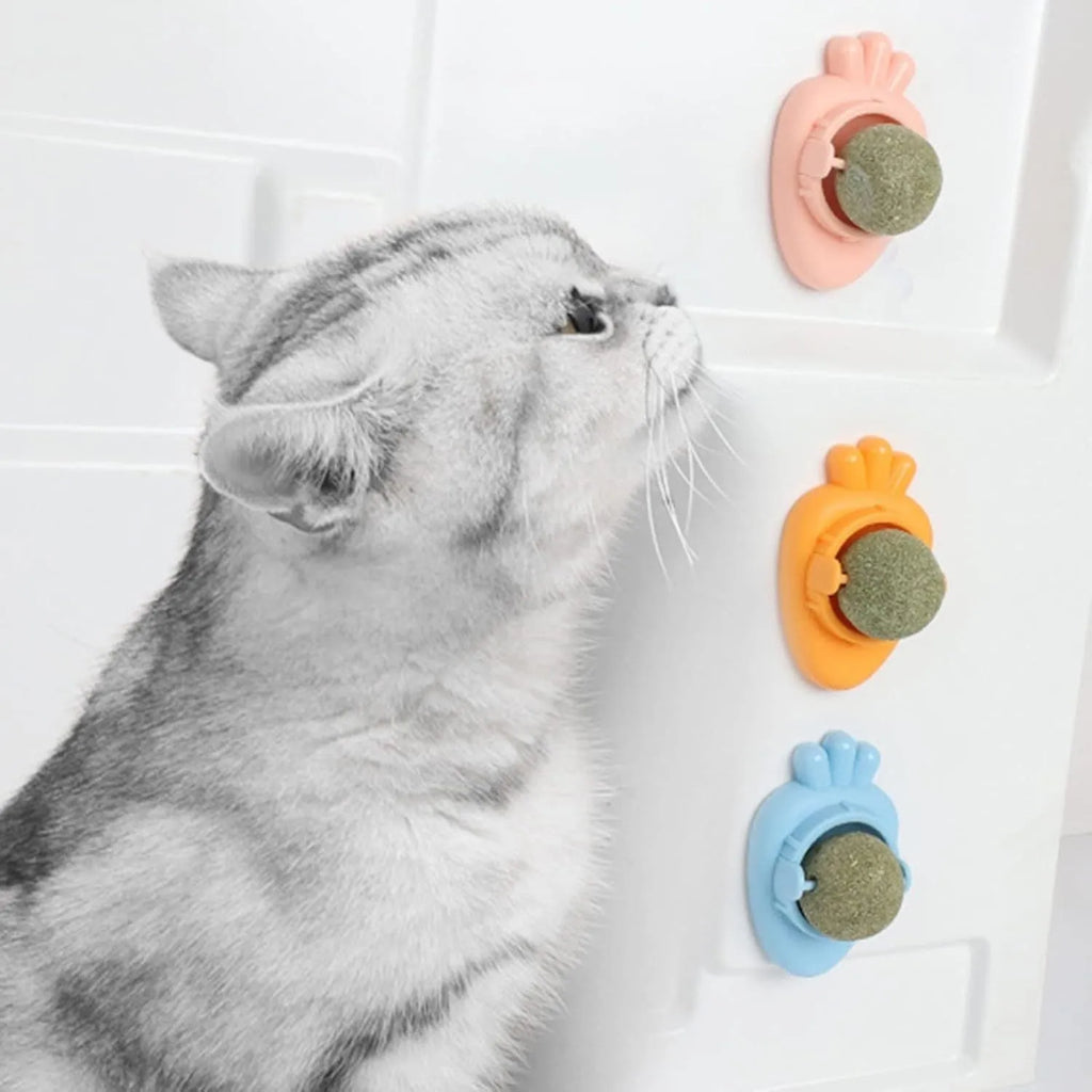 Blue carrot-shaped catnip ball with self-adhesive sticker for wall mounting