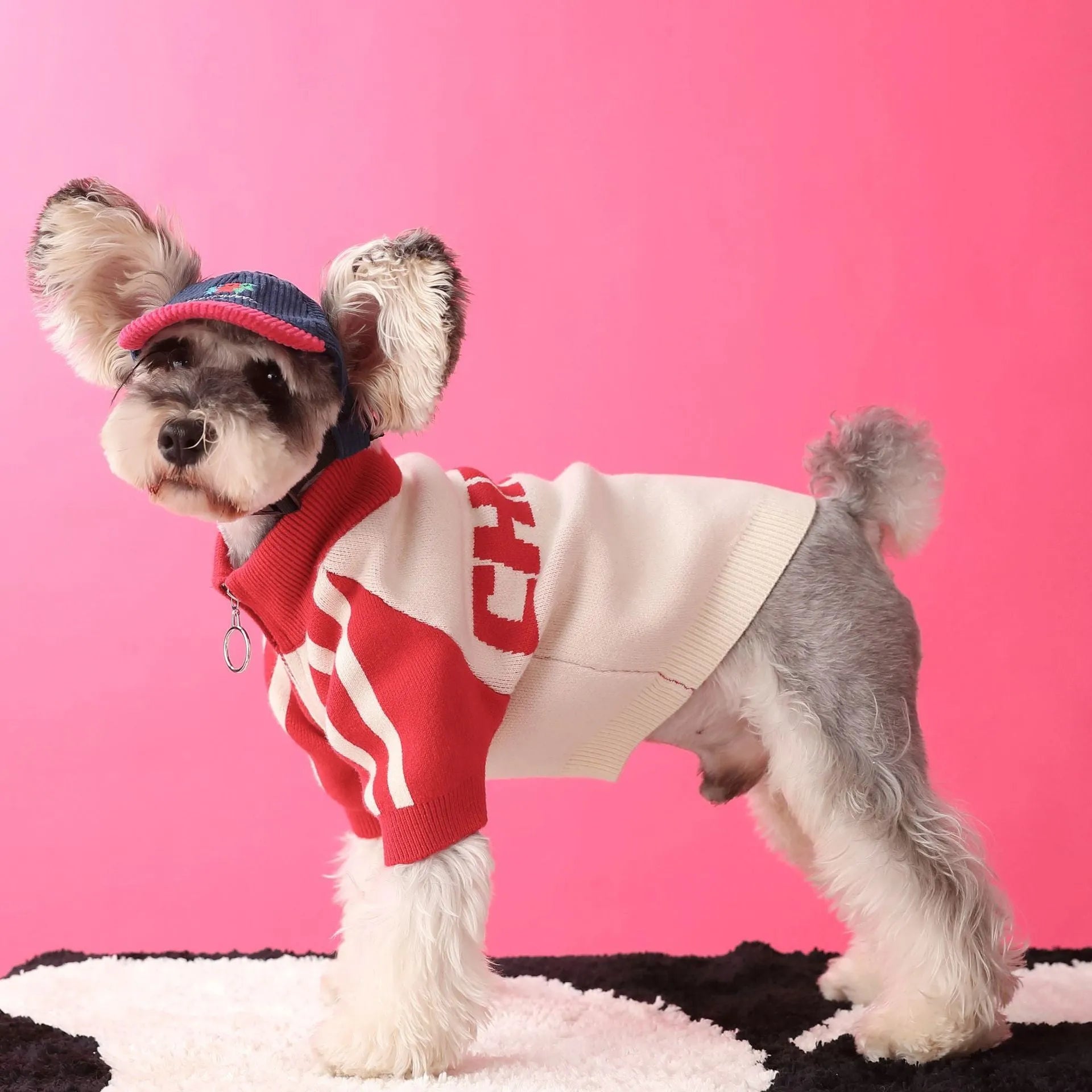 Dark green wool dog cardigan in casual sports sweater style for pet clothing