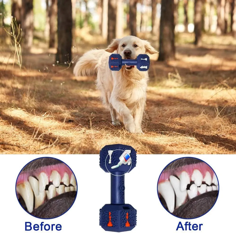 A black and blue durable rubber dumbbell-shaped dog chew toy on a white background.