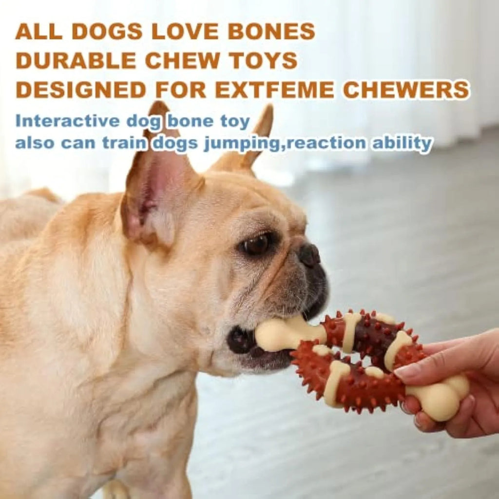 A bone-shaped natural rubber dog molar chew toy shown in two sizes for teeth grinding.