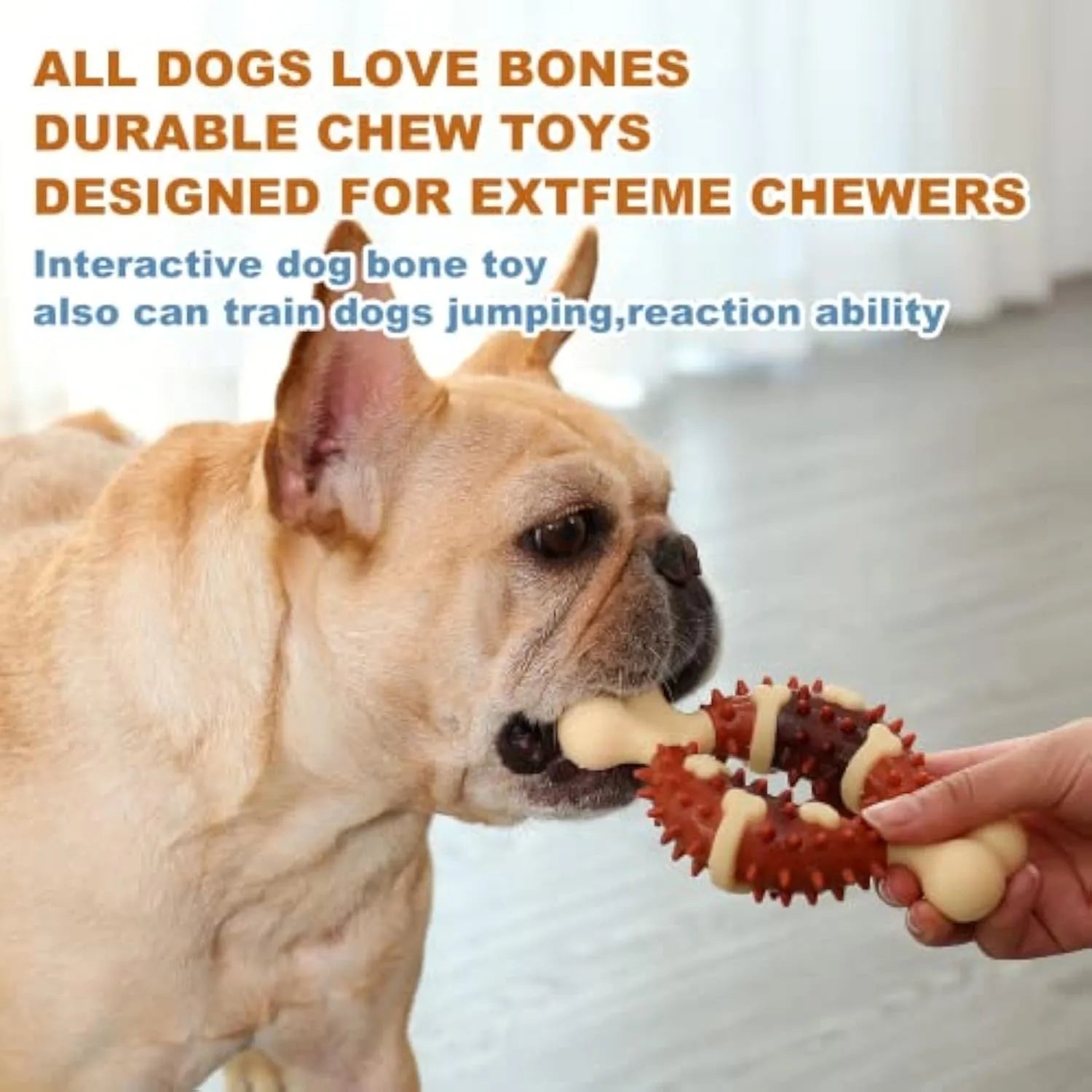 A bone-shaped natural rubber dog molar chew toy shown in two sizes for teeth grinding.