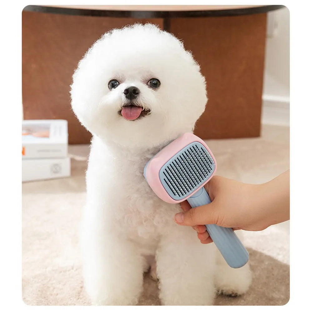 Blue pet grooming brush with double-sided deshedding rake and dematting comb tool