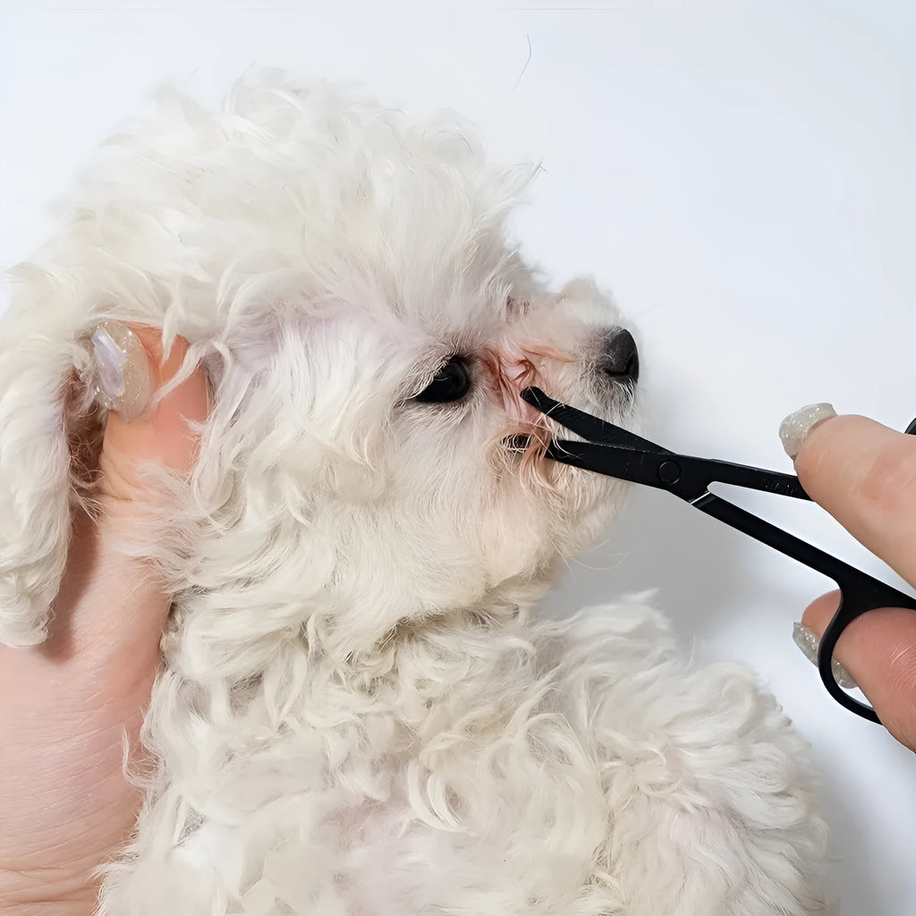 Black pet grooming brush with soft bristles and comb for dogs and cats tear stain removal