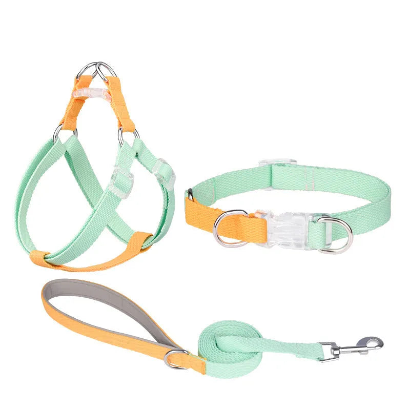 Polyester ribbon dog collar set with hand holding rope and chest strap in multiple colour options